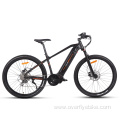 XY-GLORY Intube design electric bicycle